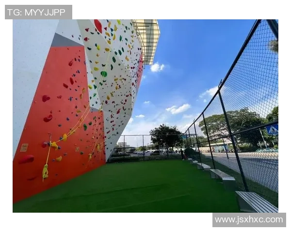 广州攀岩队的运营揭秘与深度分析探索攀岩运动的魅力与挑战